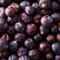 Elderberry LiposomalVitamin C
